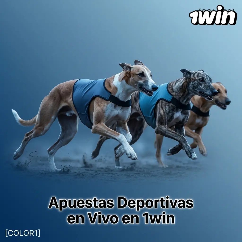 Apuestas deportivas en vivo en 1win con más de 40 deportes, cuotas en tiempo real y transmisión de video